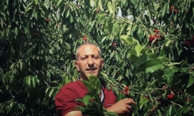 Man stands in front of bushes