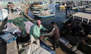 Two men carry crate of small fish at a harbor