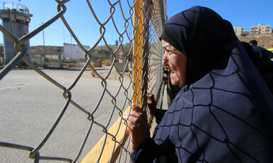 Woman holds barbed wire