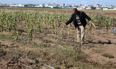 Man stands in a field 