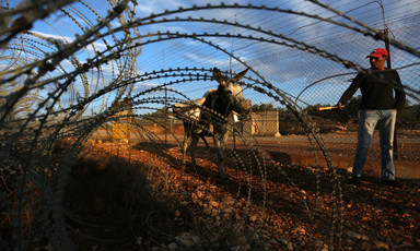 A man and his donkey is seen through barbed wire