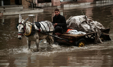 A young man drives a cart pulled by a mule through a flooded street