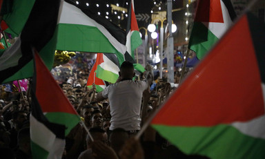 Crowd waves Palestinian flags in town square