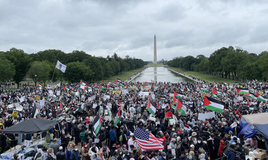 Large crowd with flags near reflecting pool and grass