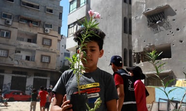 Boy holds a plant 