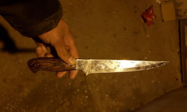 A hand holding a chef's knife with brown handle