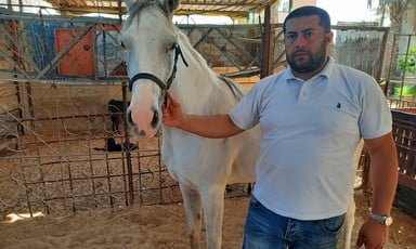 A man holds a white horse by its rein