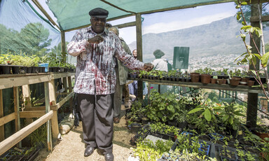 A man in hat surrounded by plants and mountains behind him