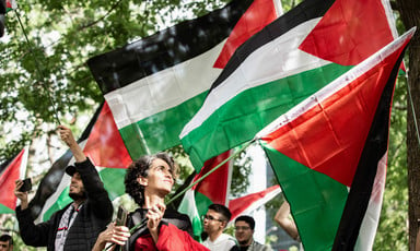 protestors carry Palestinian flags