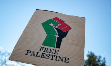 A sign at a protest reads free Palestine