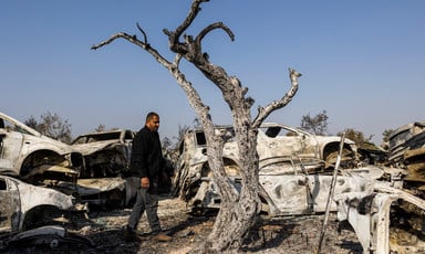 Man walks in front of charred cars and next to burnt tree