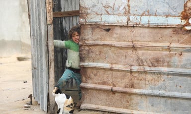 A Palestinian girl peeks out from a door of a metal building with a cat sitting at her feet. 