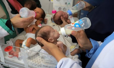 Several premature babies are fed milk from bottles. 
