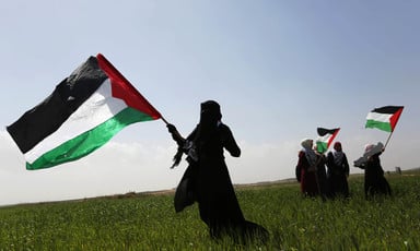 A woman, backlit, waves a Palestinian flag in a field of green