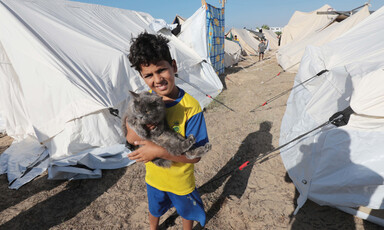 A boy holds a cat by a tent