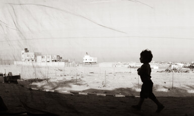 A child in profile against the last light of day