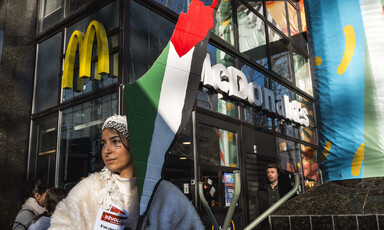 Portrait of a demonstrator with a Palestinian flag painted on her face and a placard in the shape of Palestine in front of a McDonald's restaurant