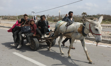 A white donkey pulls a cart with people in it, including young children