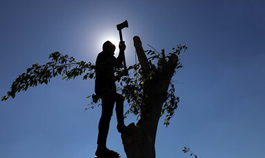 A man in silhouette uses an axe on a tree