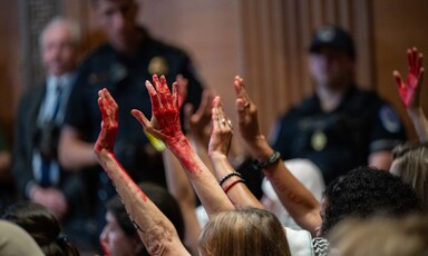 Protesters with hands painted red in Senate Appropriations Committee hearing