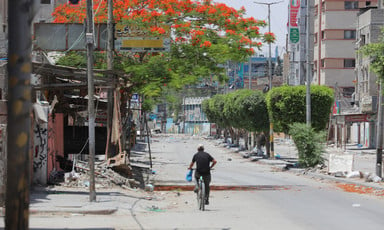 A man rides his bicycle alongside trees in Gaza