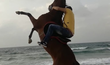 A horse on a beach with her rider