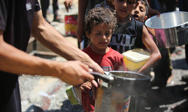 A child waits in line for food