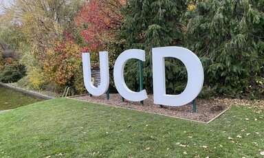 A three dimensional sign reading UCD with a lawn in front of it and trees behind it 