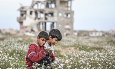 Two young boys pick flowers in a field. In the background is a destroyed house.